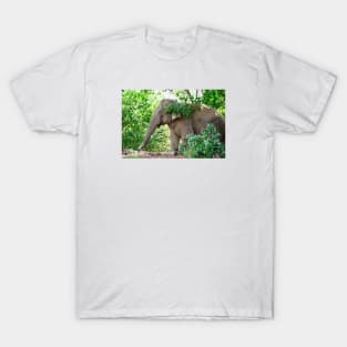 Elephant III / Swiss Artwork Photography T-Shirt